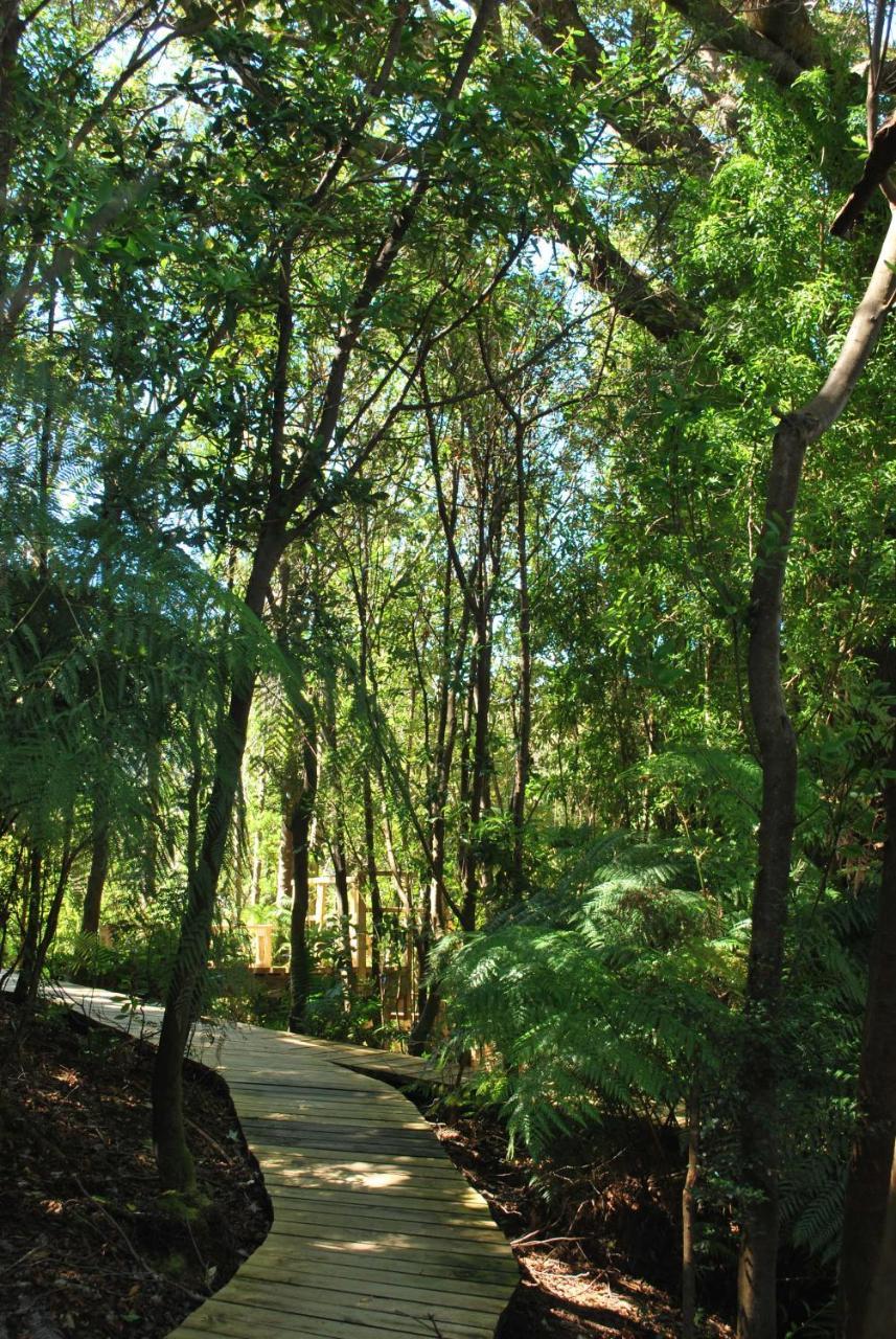 Chucao Bosque Y Cabanas Chaitén Zewnętrze zdjęcie