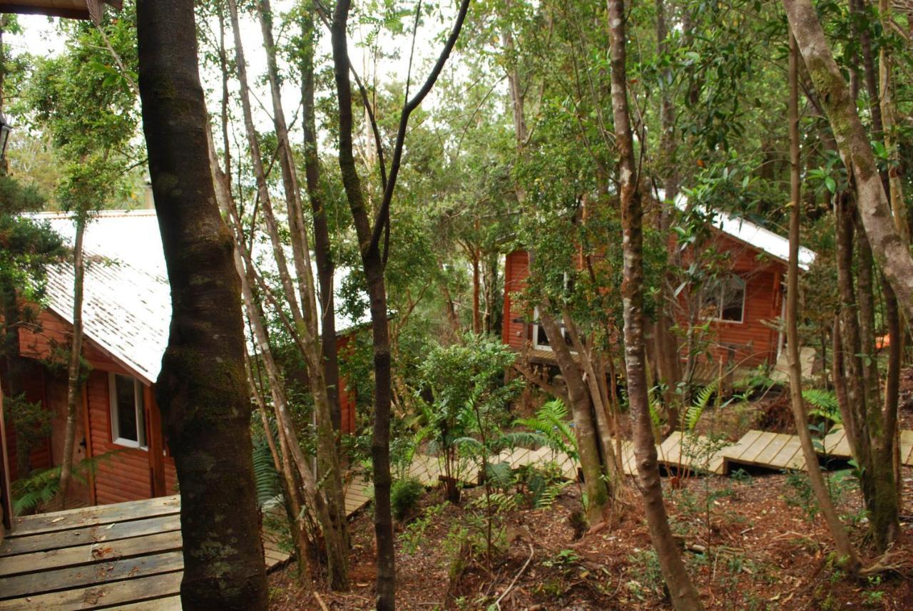 Chucao Bosque Y Cabanas Chaitén Zewnętrze zdjęcie